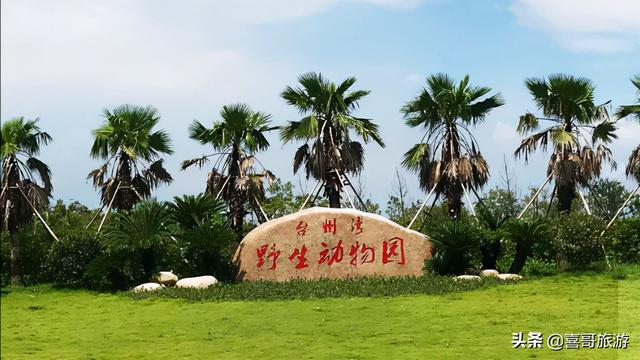 温岭方山风景区，温岭有什么值得一去的地方（浙江台州市十大景点有哪些）