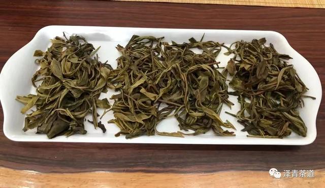 倚邦普洱茶特点，倚邦普洱茶特点口感（普洱茶的冷知识—普洱茶之最）