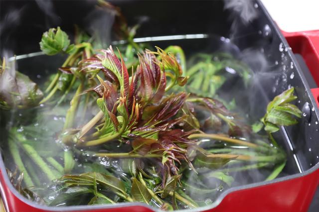 24种健康的食物搭配，食物搭配禁忌大全（5种堪称“绝配”的凉拌菜）