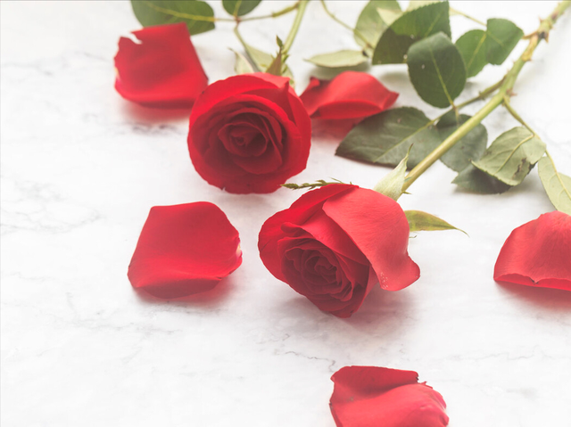 谁的眼泪在飞散文，悲伤的眼泪在飞（爱情的冬天）