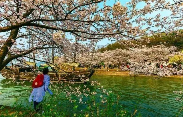 春天去哪里旅游好，这才是春天最值得去的20个地方（中国最美的30个地方）