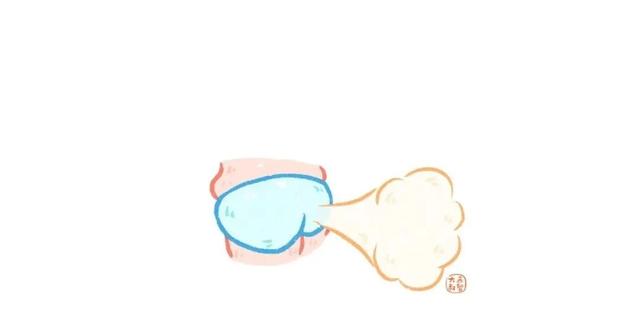 皮肤九小层分别是什么，皮肤九小层分别是什么图片（上学前教孩子认识自己的身体）