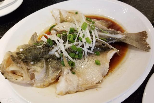 鲈鱼是淡水鱼还是海鱼，鲈鱼是海鱼还是淡水鱼（原来“海鲈”和“淡鲈”区别这么大）