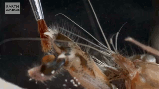 气泡图，气泡图主要用于描述三个变量之间的对比关系（为什么晶莹剔透的气泡还能蕴藏巨大能量）