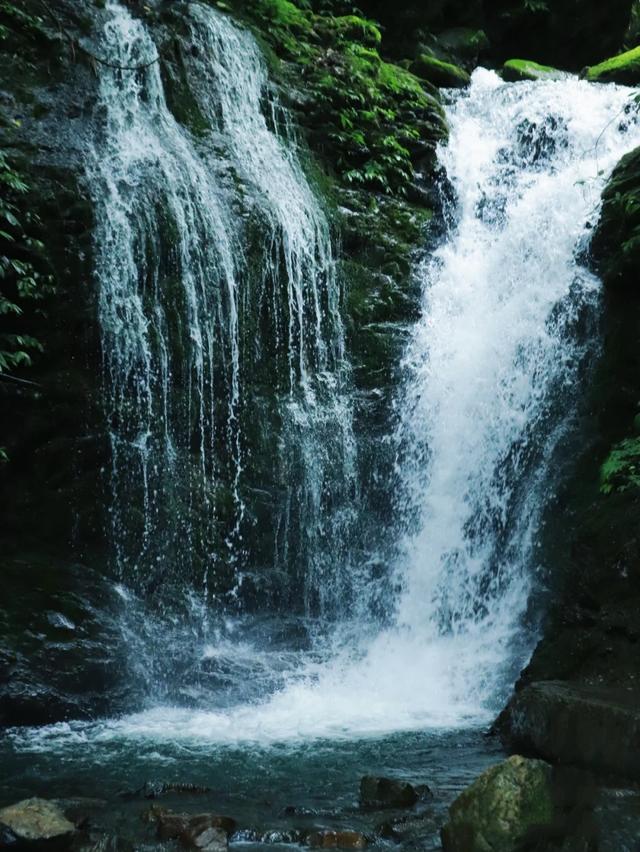 什邡市景点，什邡景点旅游景点（成都周边绝美“禁林”）
