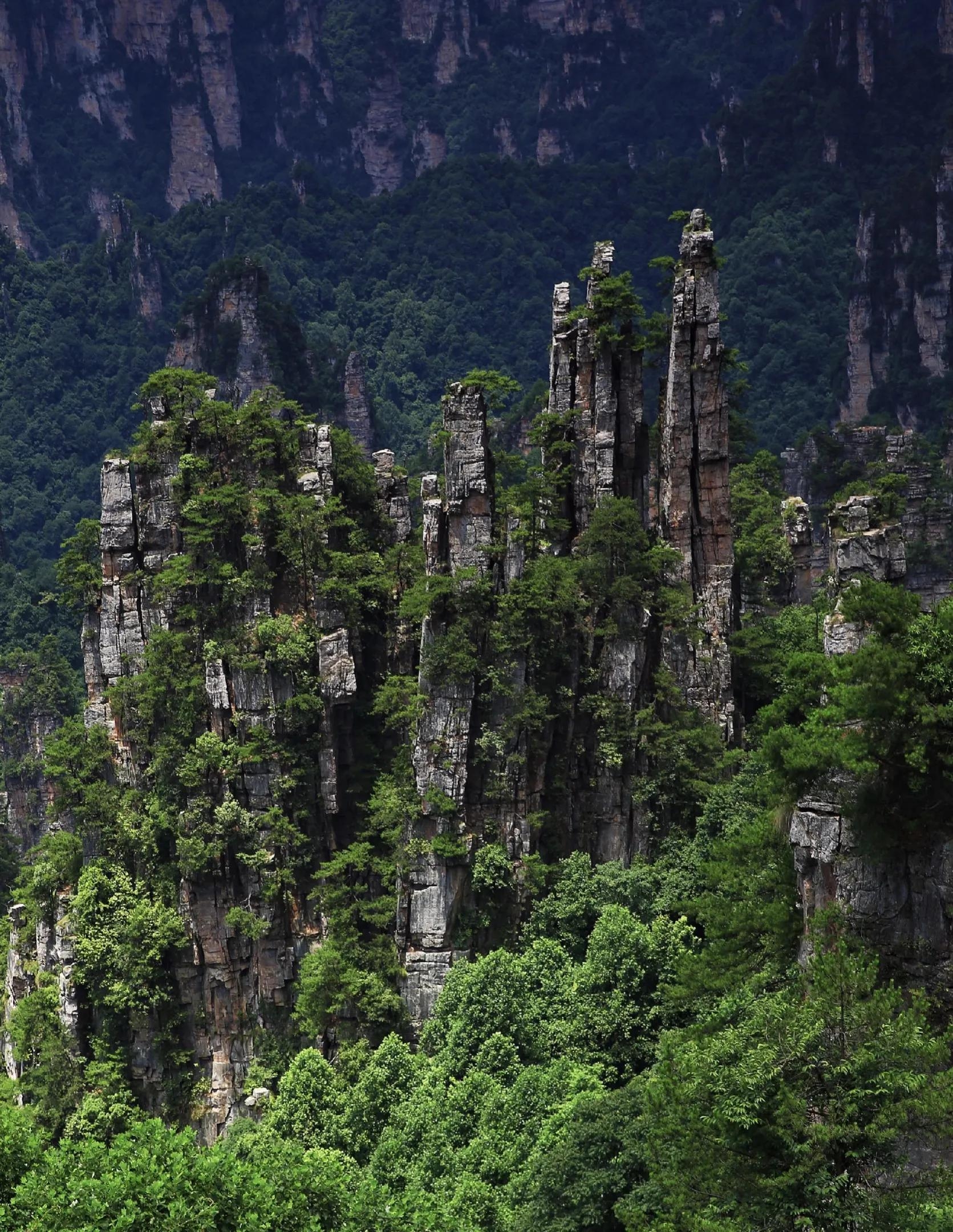张家界地貌是什么类型（张家界世界地质公园的景观类型）