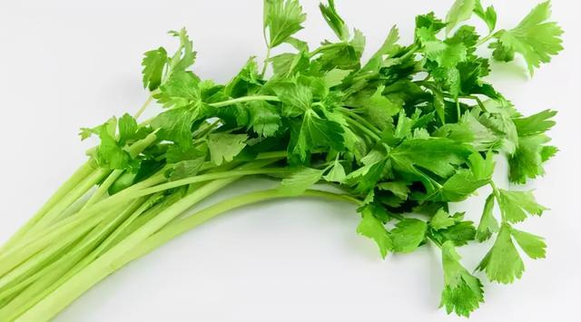 绿叶菜有哪些品种，绿叶蔬菜的营养价值（种常见绿叶菜，你吃对了吗）