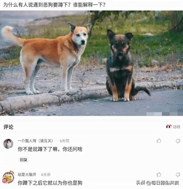 10根烤肠是什么梗，十根烤肠图片真实（十根烤肠到底是什么梗）