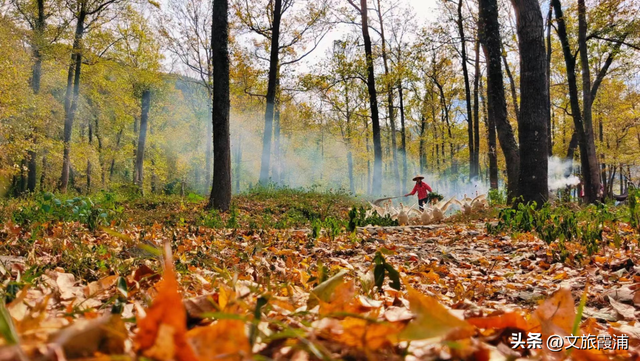 霞浦建善寺简介，2023年霞浦旅游月历新鲜出炉~快收藏→