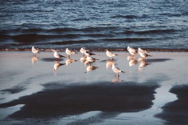 烟台自由行攻略，烟台旅游攻略自由行（这座低调的海滨城市）