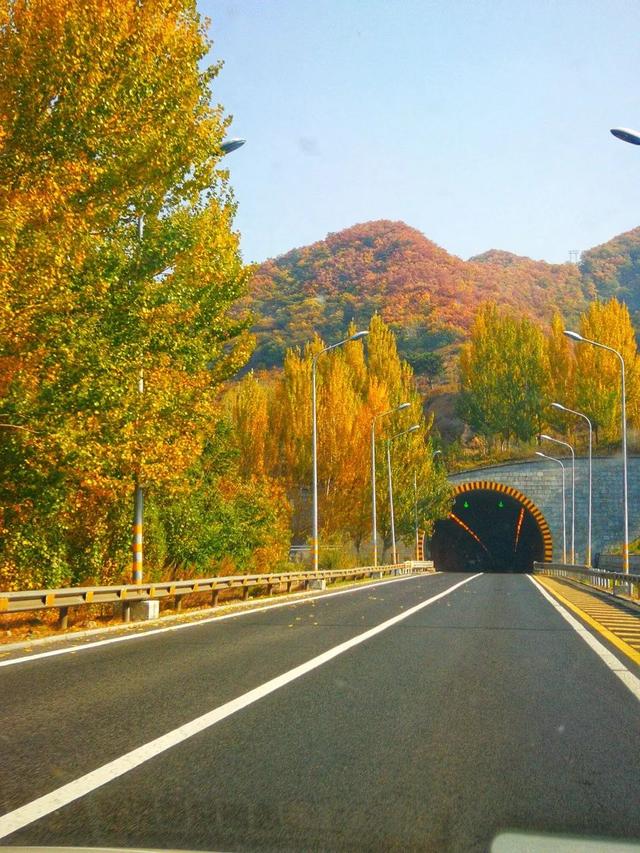 本溪特色美食有哪些，本溪特色美食有哪些小吃（国内唯一媲美北疆的地方）