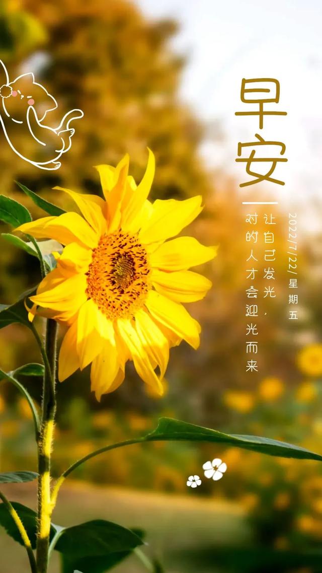 工作辛苦正能量的幽默句子，开心上班幽默正能量的句子（正能量温情语录句子）