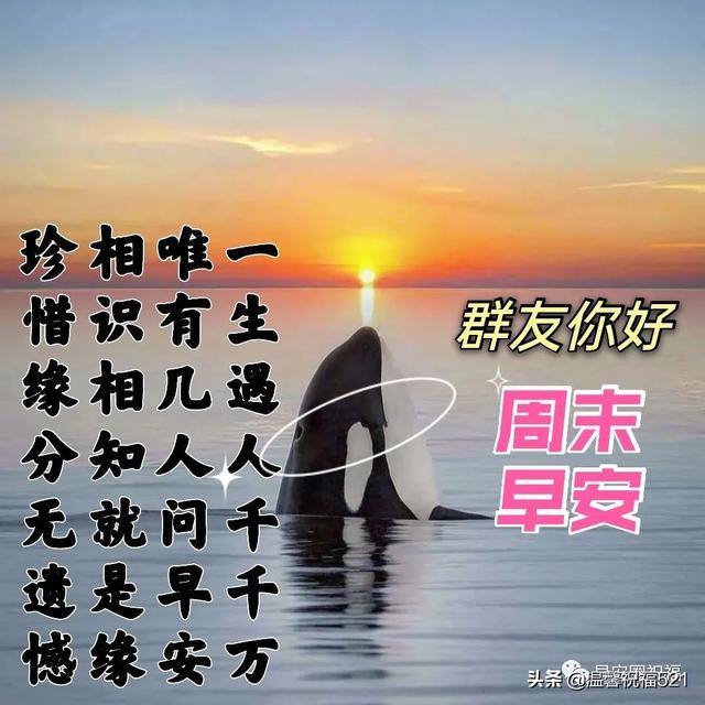 每日晨语早上好，早上问候语大全（创意欢乐喜气精美早上好问候语图带字）