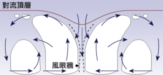 飓风和台风有什么区别，飓风和台风有什么区别英语（为何登陆我国的热带气旋叫台风）