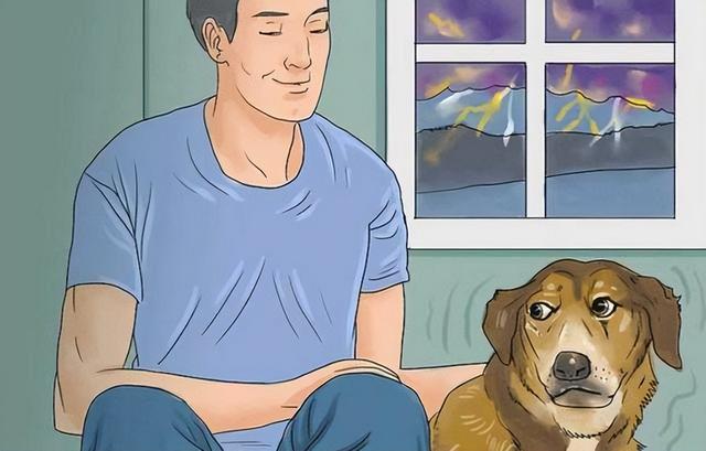 狗狗最害怕哪些东西，狗狗最害怕的7件事