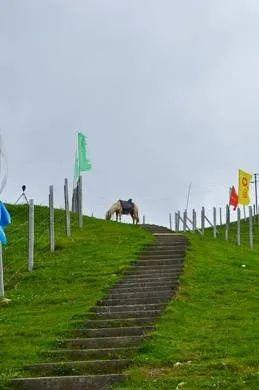 湖南南山牧场在哪里，湖南南山牧场旅游攻略自驾游（邵阳旅游推荐：南山牧场）