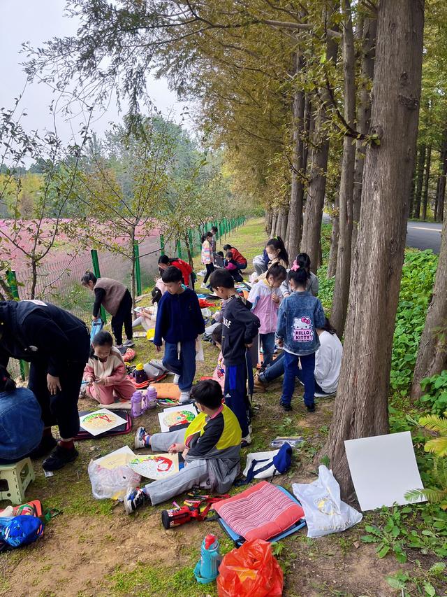 日照森林公园打卡景点，穷学生来海滨城市打卡