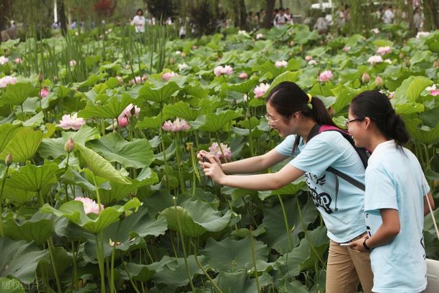 团队名称和激励口号，狼性团队口号 押韵洋气（<4>中学校园内引导激励师生的标语口号35条<第四篇>）