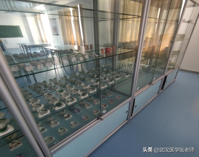 三峡大学职业技术学院，湖北三峡职业技术学院怎么样_师资评价好不好（预科班录取口腔医学院校-湖北三峡职业技术学院）