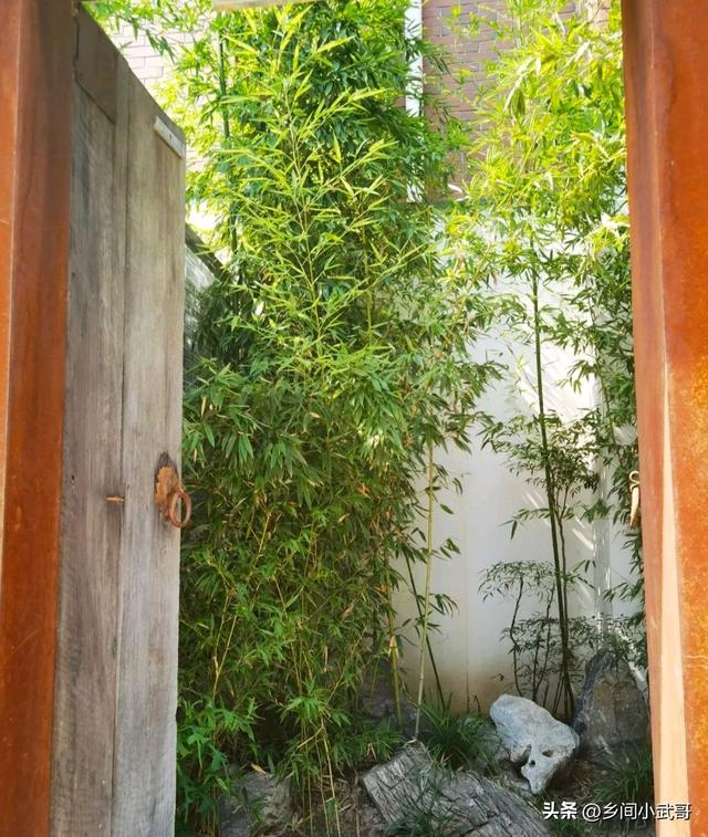 上海红茶馆.网名，上海红茶馆.微信昵称（有藏于城市中何必在山林之感）