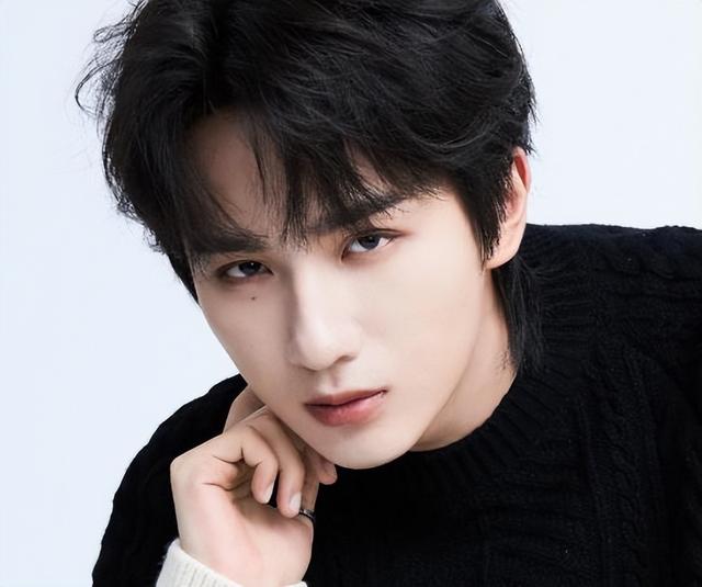 李宏毅，李宏毅变形计（《变形记》男孩李宏毅资源堪比二线图片）