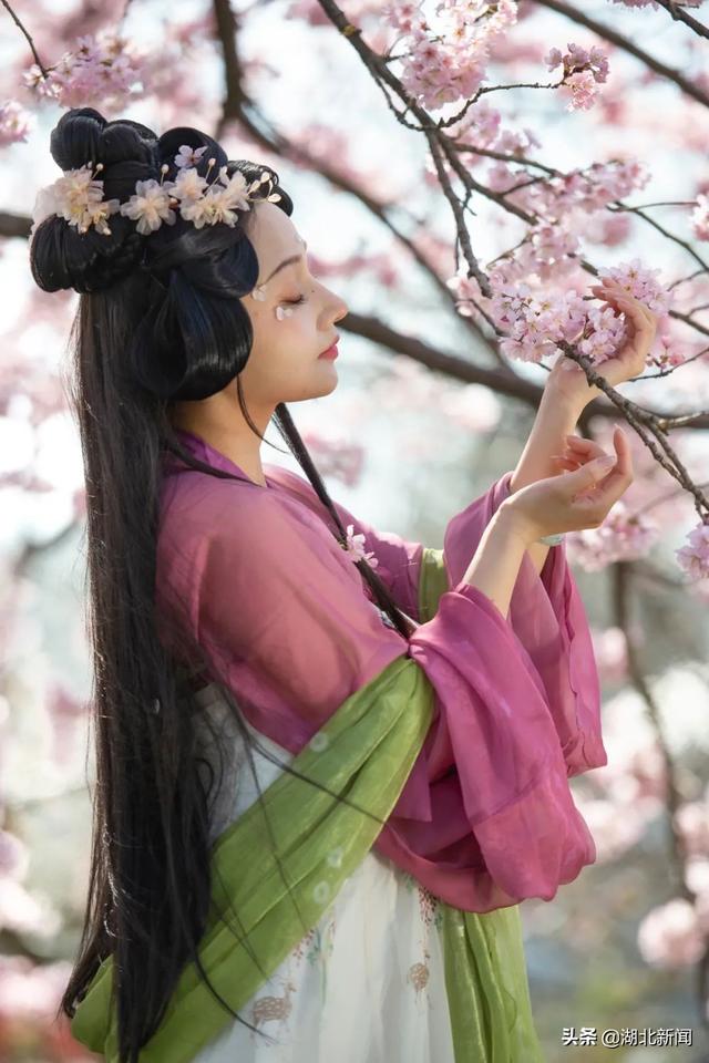 武汉市花是什么，武汉什么花是市花（三月的湖北全是花花花花花花）