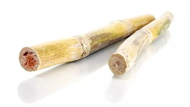 生活中常见的5种有毒食物，容易引起食物中毒的5种食物