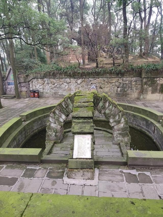 歌乐山森林公园，重庆旅游必去景点（歌乐山国家森林公园）