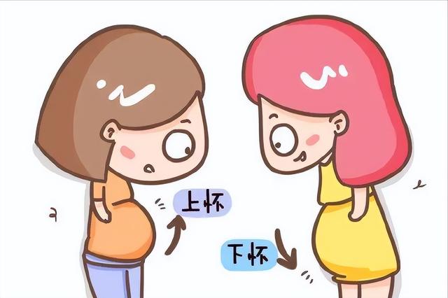 怀孕1一9月腹部变化图，怀孕1一9月子宫位置图（可以从孕期症状看出胎儿性别）