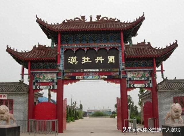 柏乡汉牡丹