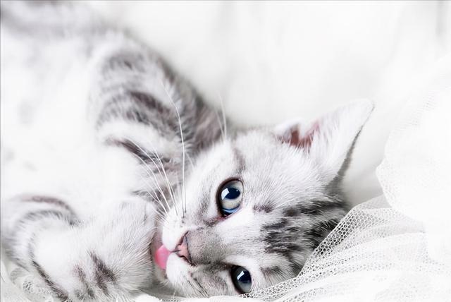 carefully的解释及carefully的例句，careful和carefully用法例句（careful）