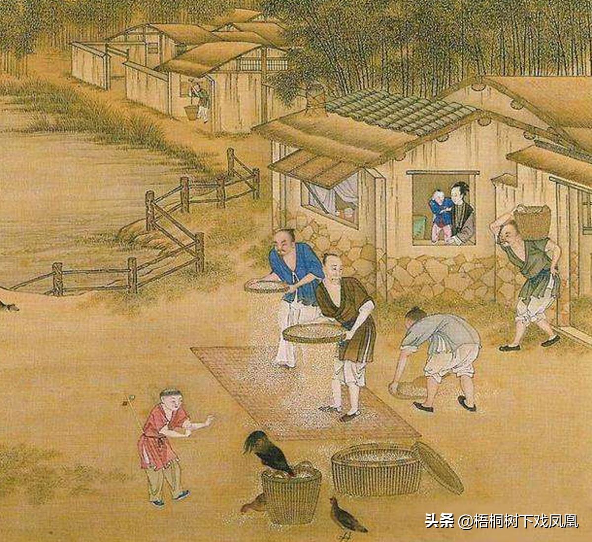 水虎年是什么意思，水虎命是什么意思（“五牛耕田、八龙治水”）