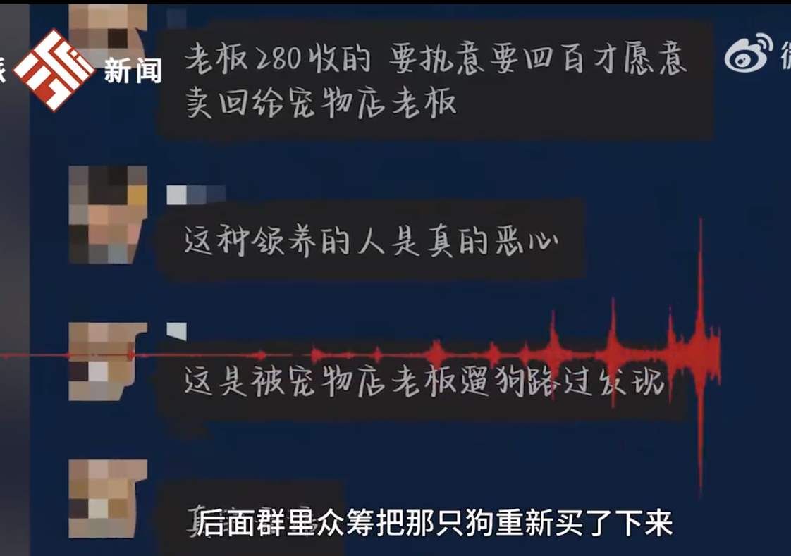 拉不拉多狗多少钱（拉不拉多狗多少钱一个）