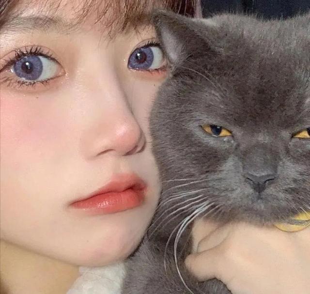 元旦快乐！ 新年快乐！，微信头像，元旦快乐！ 新年快乐！（头像丨元旦快乐，有钱有你）