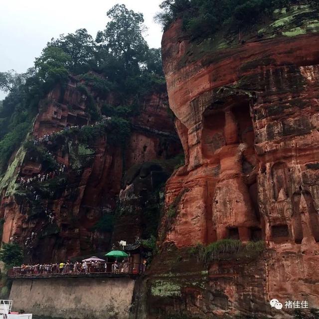 乐山大佛在哪里，乐山大佛在哪（唐朝-庙宇-乐山大佛）