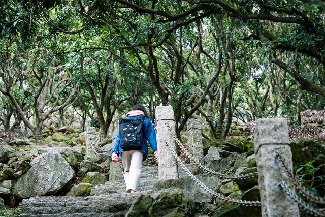 深圳好玩的免费景点，深圳哪里好玩的景点（来深圳这10个地方免费玩）