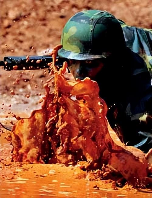 国际侦察兵大赛，外军力赞“世界一流”（国际侦察兵大赛中国排名）