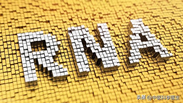 新冠病毒核酸检测，新冠肺炎核酸检测的方法是什么（为什么国外能自行在家测核酸）