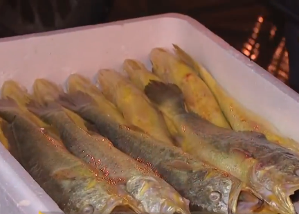 卖金鱼好赚吗，金鱼生意怎么样（别人不支持他偏要瞎折腾）