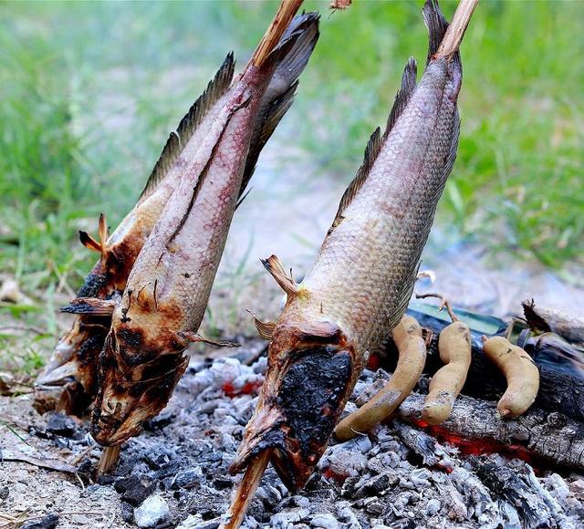 烤泥鱼食谱在哪买，魔兽世界外域食谱（品尝最具越南特色的金瓯特色美食）