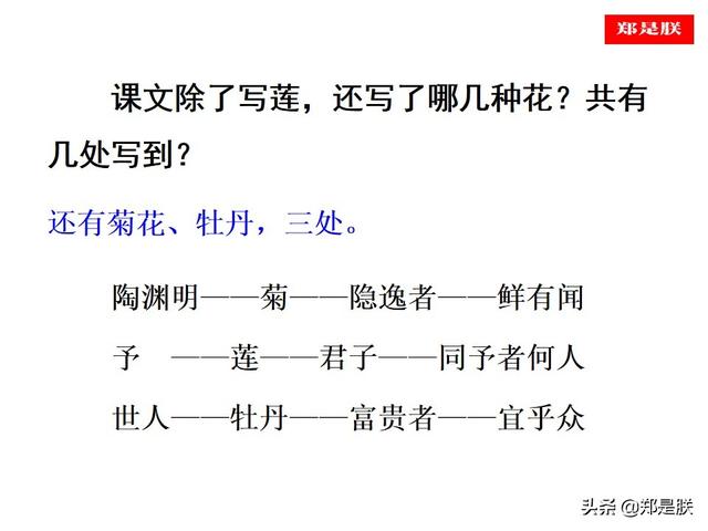 爱莲说原文朗读，爱莲说拼音版原文（部编人教版七年级语文下第17课《爱莲说》周敦颐-诵读+课件）