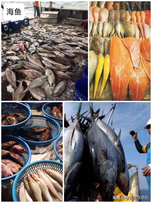 海鱼的做法大全，五种海鱼的美味做法（8种宴席“镇桌主菜”的海鱼）