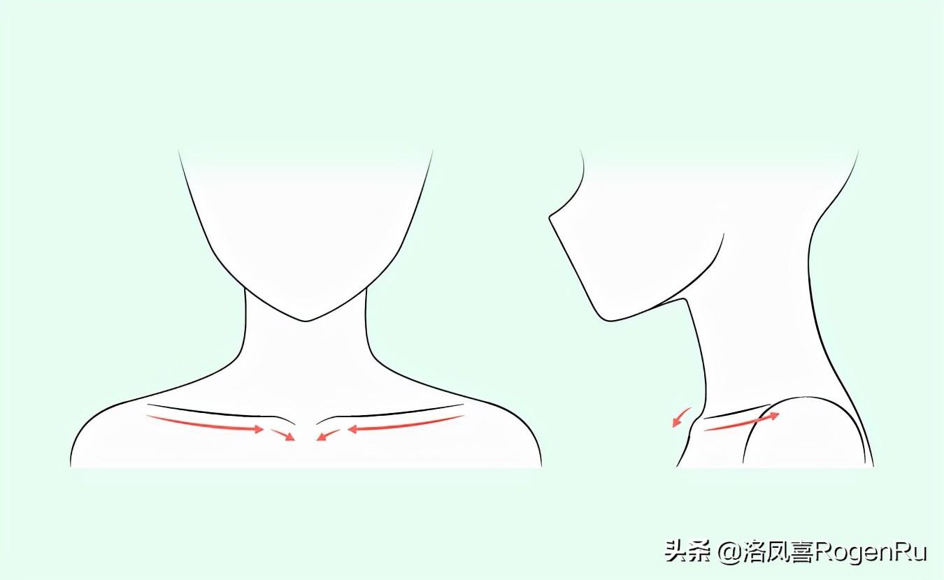 從靠近肩膀末端和斜方肌開始的位置畫鎖骨,將它們向下畫到胸部中間,並
