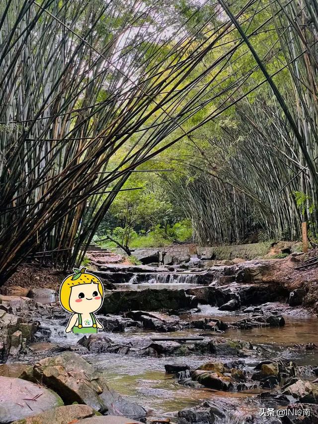 广州徒步登山经典路线，​黄埔秘境在这里