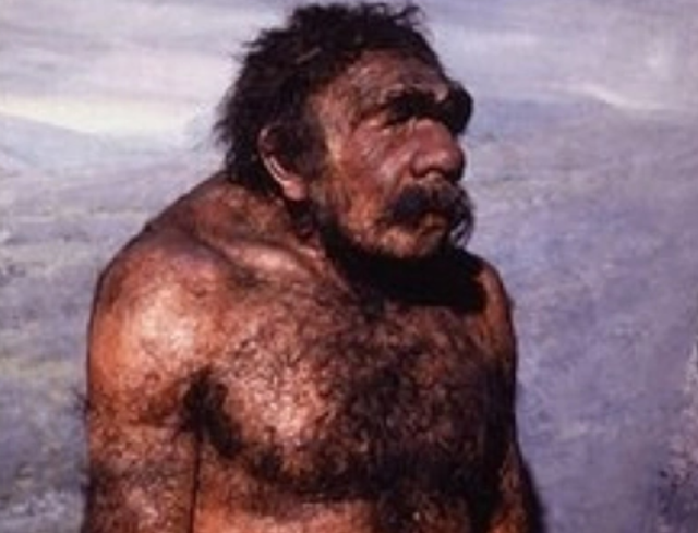 关于尼安德特人介绍，尼安德特人是怎么来的（两个智人都打不过一个尼人）