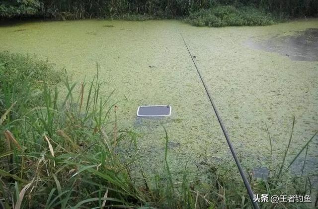 初学者钓鱼技巧，新手如何钓鱼，初学者钓鱼技巧（新手钓鱼，有哪些快速入门法）