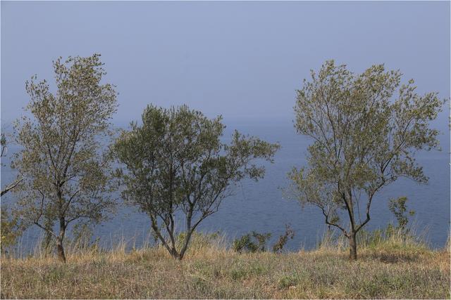抚仙湖旅游，抚仙湖旅游攻略（胡言摄影抚仙湖16年的50幅照片）
