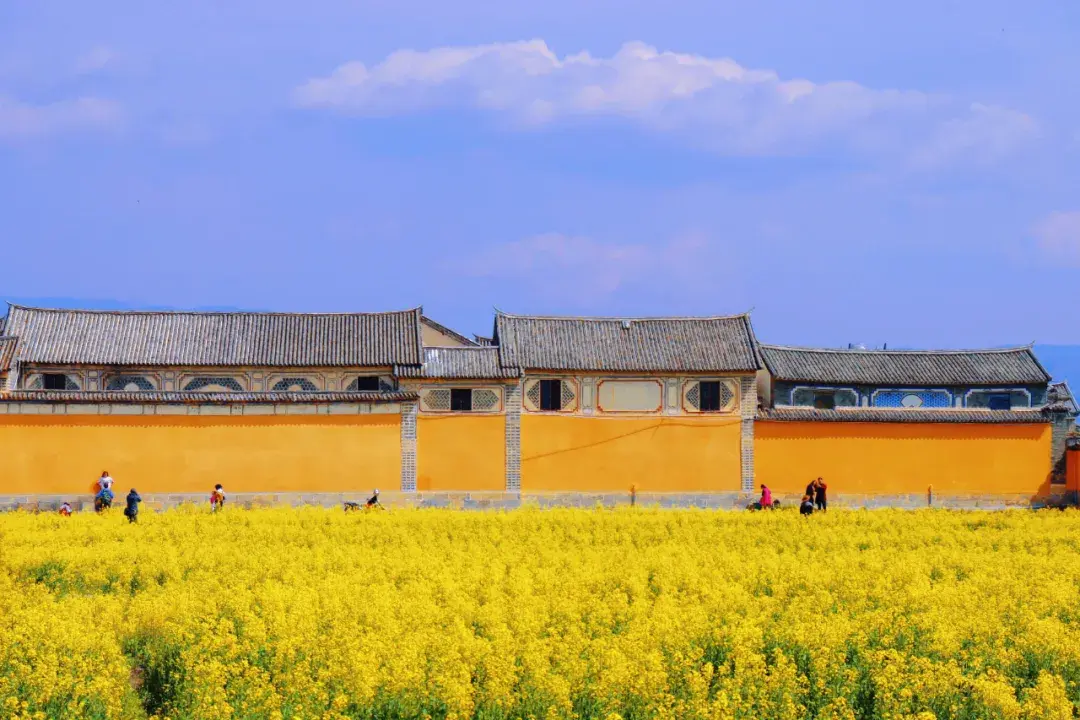 大理旅游攻略必去景点推荐（跟着玩不会错！史上最全大理攻略）