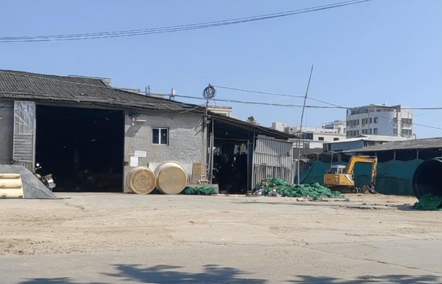 黄金大米的危害，劣质大米的危害（“黄金鲍”加硼砂可使器官衰竭）