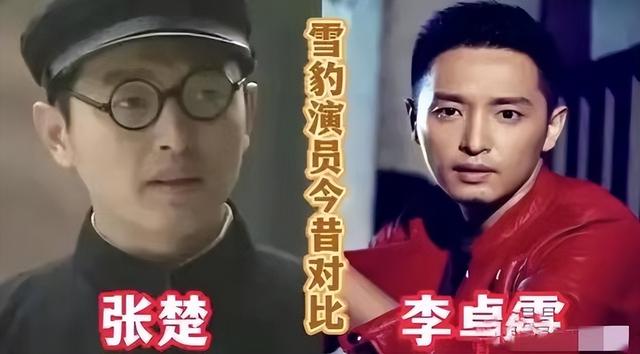 雪豹萧雅扮演者，雪豹萧雅扮演者是谁（12年后再看《雪豹》）